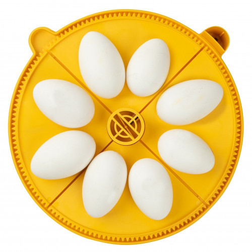 Brinsea Maxi Advance incubator extra large egg insert