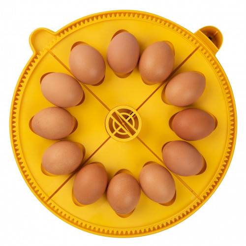 Brinsea Maxi Advance incubator large egg insert