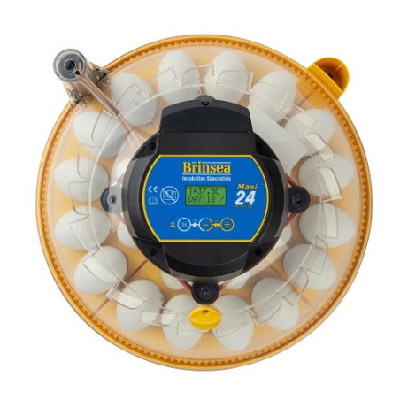 Brinsea Maxi 24 Advance fully digital 24-egg incubator