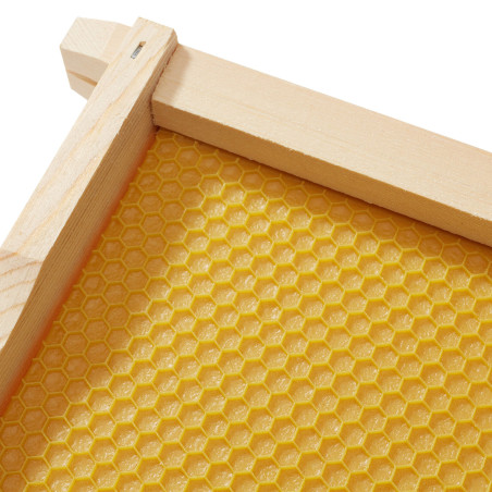 10 Beehive Frames Assembled  Coated Beeswax Foundations for Beekeeping 6-1/4"