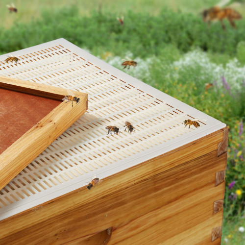 2 Pack 10 Frame Plastic Queen Bee Excluder Separation Grid Beekeeping Hive Tool