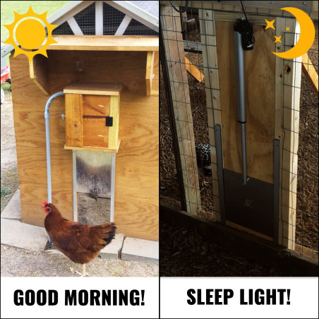  Automatic Chicken Coop Door Opener Chicken Door 12.6" by 11.8"
