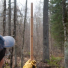 How to Use a Tree and Log Scale Stick