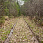 Preventing Tractor Ruts: 5 Tips Farmland Tips