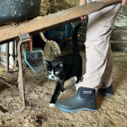 The Everyday Farm Boot That Doesn’t Feel Like a Chore