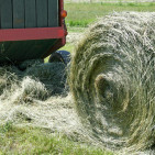 Hay Baler Comparison: Square vs. Round for Small Farms
