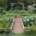 Vegetable Garden Design Basics