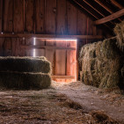 What to Do With Old Hay: 4 Smart Uses