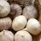 Types of Garlic to Plant: How to Choose the Right Variety