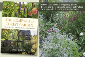 The Home-Scale Forest Garden