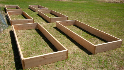 Raised Garden Bed Size and Spacing Tips