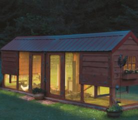 How to Light a Chicken Coop: Four Bright Ideas