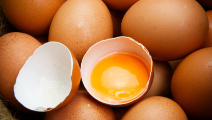 Egg Yolk Color: What It Means and What Affects It