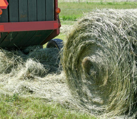 Hay Baler Comparison: Square vs. Round for Small Farms