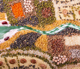 Crop Art: How to Create Stunning Seed Designs