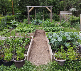 Vegetable Garden Design Basics