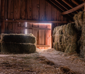 What to Do With Old Hay: 4 Smart Uses