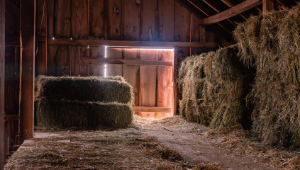 What to Do With Old Hay: 4 Smart Uses