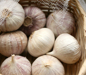 Types of Garlic to Plant: How to Choose the Right Variety