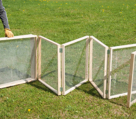 How to Build a DIY Chicken Run for a Backyard Flock