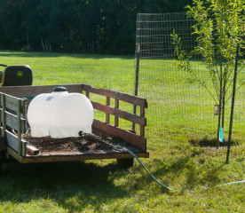 How to Water an Orchard Efficiently