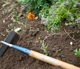Garden Chores List: 10 Late-Summer Tasks for Fall