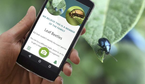 Smartphone Apps For Plants, Bees, Chickens & More - Hobby Farms