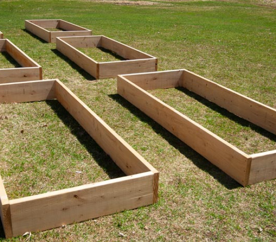 Raised Garden Bed Size and Spacing Tips