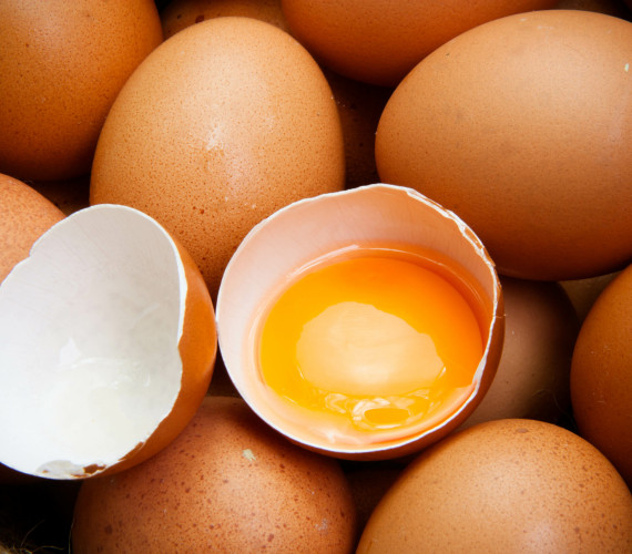Egg Yolk Color: What It Means and What Affects It