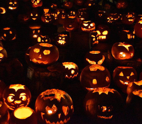 Turnip Jack-O’-Lantern: The Original Halloween Tradition