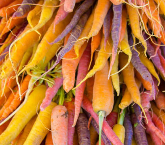 Types of Carrots to Grow in Your Garden