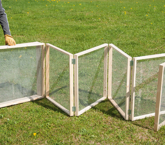 How to Build a DIY Chicken Run for a Backyard Flock