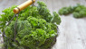 Freeze Your Extra Garden Kale To Enjoy Later