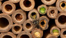 Native Bee Habitat: Fall Tips to Help Pollinators Survive Winter