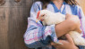 Best Pet Chickens: Breeds, Care & Affection Tips
