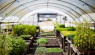 Upgrade Your Greenhouse With Smart Devices