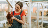4 Considerations Before Keeping Chickens 