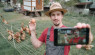 Video RoundUp: 5 Favorite Hobby Farms Stories