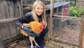 Chicken Chat: Growing A Joyful, Fancy Flock