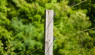 Can Old Wooden Fence Posts Be Salvaged?