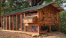 This Cool Coop Brings Joy To Chickens & Their Keepers