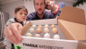 Tips For Buying Hatching Eggs On Ebay
