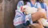 Poultry Wound Care For An Injured Chicken
