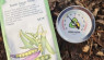 Seed Starting Soil Temperatures for Success
