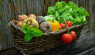 Food Security Concerns? Start A Garden!