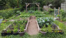 Vegetable Garden Design Basics