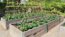 Raised Beds 101, From Materials To Building & More