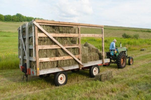[Image: hay-season-wagon-tractor-600x347.jpg&...p;amp;zc=0]