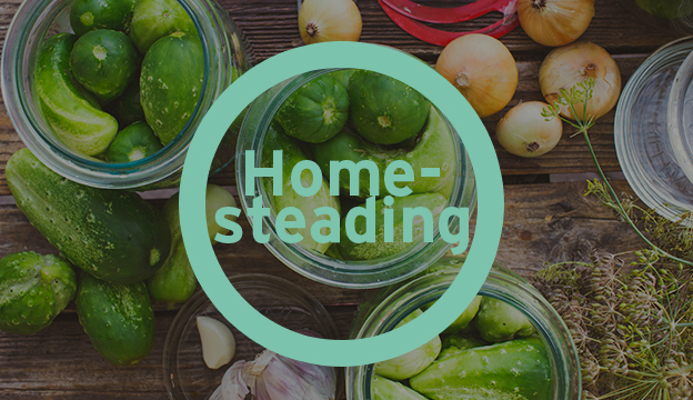 Homesteading