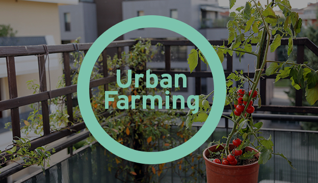 Urban Farming